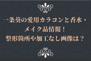 一条葵の愛用カラコンと香水・メイク品情報！整形箇所や加工なし画像は？